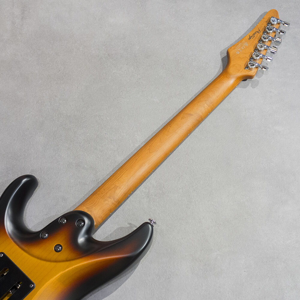 New Gear for 2025 | NEWS | Ibanez guitars