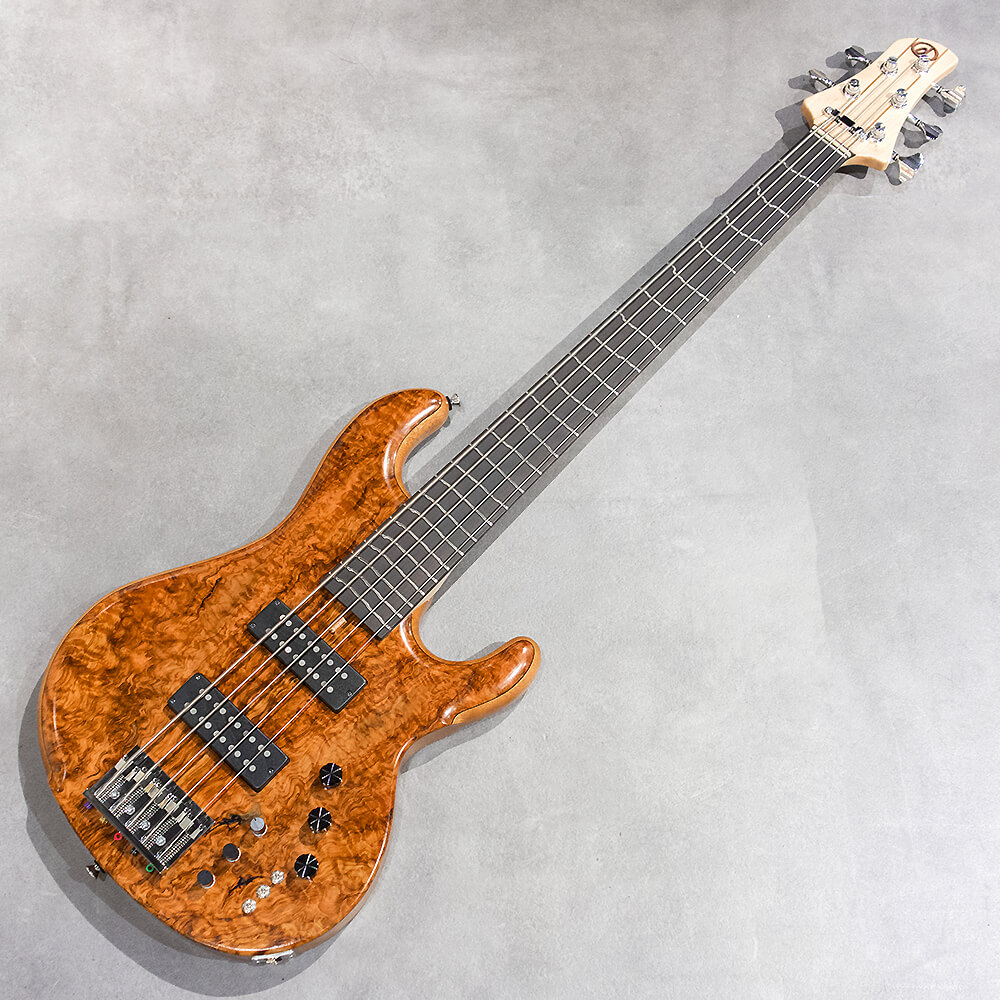 dragonfly　ドラゴンフライ CHB5 Custom　中古　美品 dragonfly CHB5 Custom/TT Sugi/African Mahogany｜ミュージックランドKEY