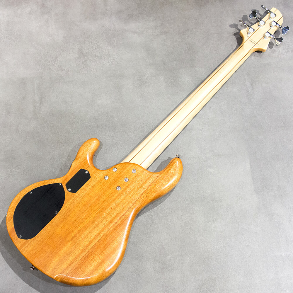 dragonfly CHB5 Custom/TT Sugi/African Mahogany｜ミュージックランドKEY