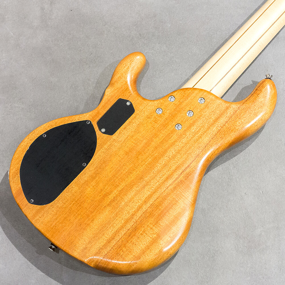 dragonfly CHB5 Custom/TT Sugi/African Mahogany｜ミュージックランドKEY