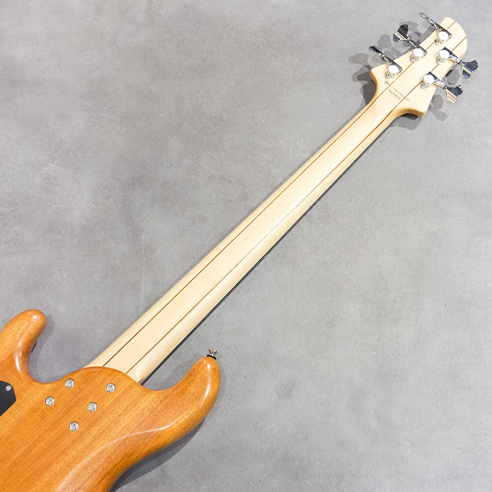 dragonfly CHB5 Custom/TT Sugi/African Mahogany｜ミュージックランドKEY