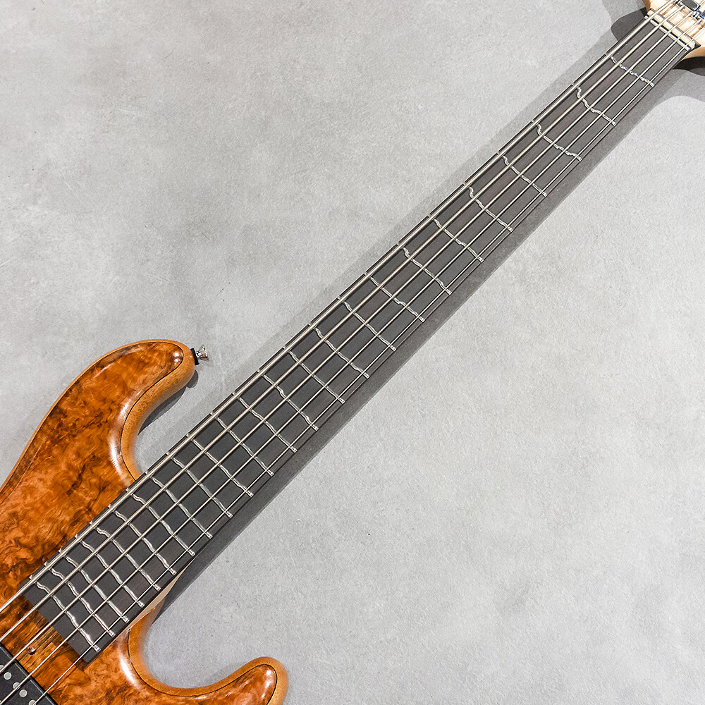 dragonfly CHB5 Custom/TT Sugi/African Mahogany｜ミュージックランドKEY