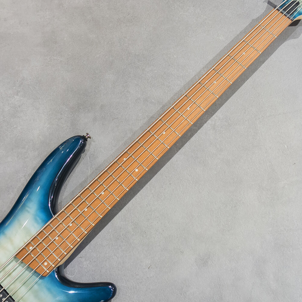 【5弦ベース】アイバニーズIBANEZ SR405FM Ibanezの初心者向け5弦ベースが良すぎてこれで良いってなっ