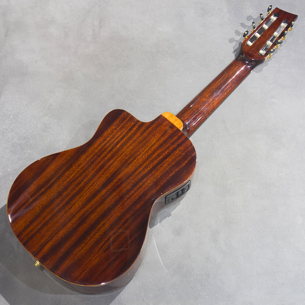 ELK GUT 8 Natural｜ミュージックランドKEY