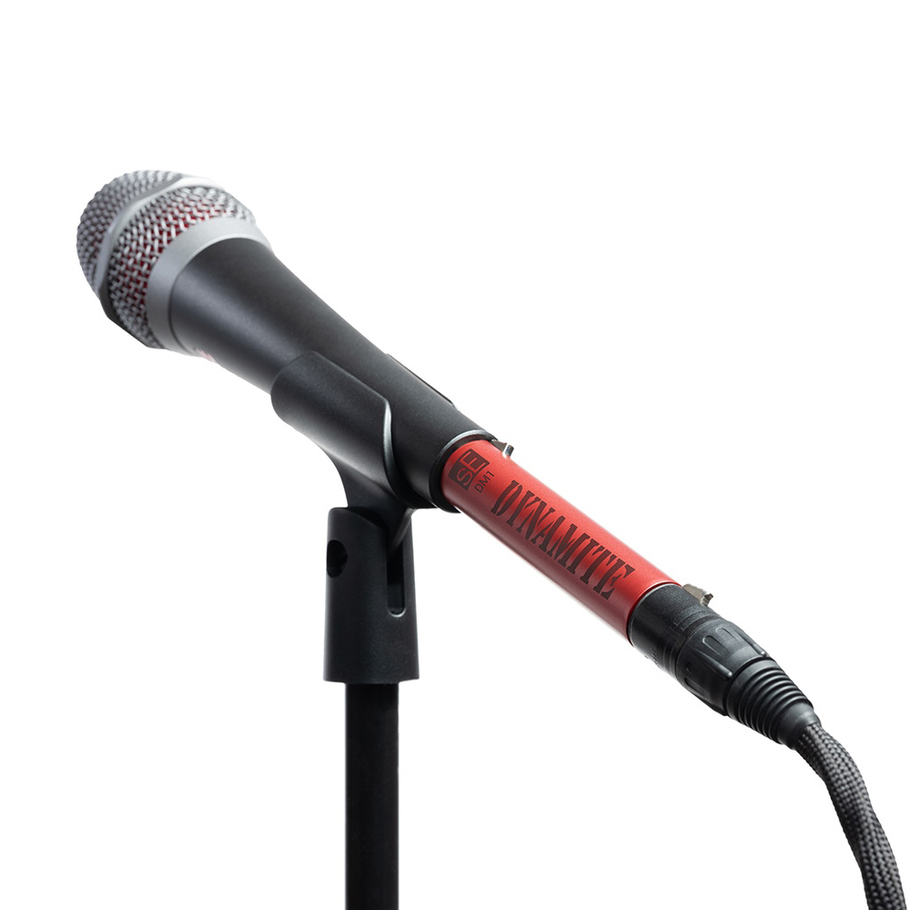 SE ELECTRONICS / DM1 DYNAMITE マイクプリアンプ 送料無料
