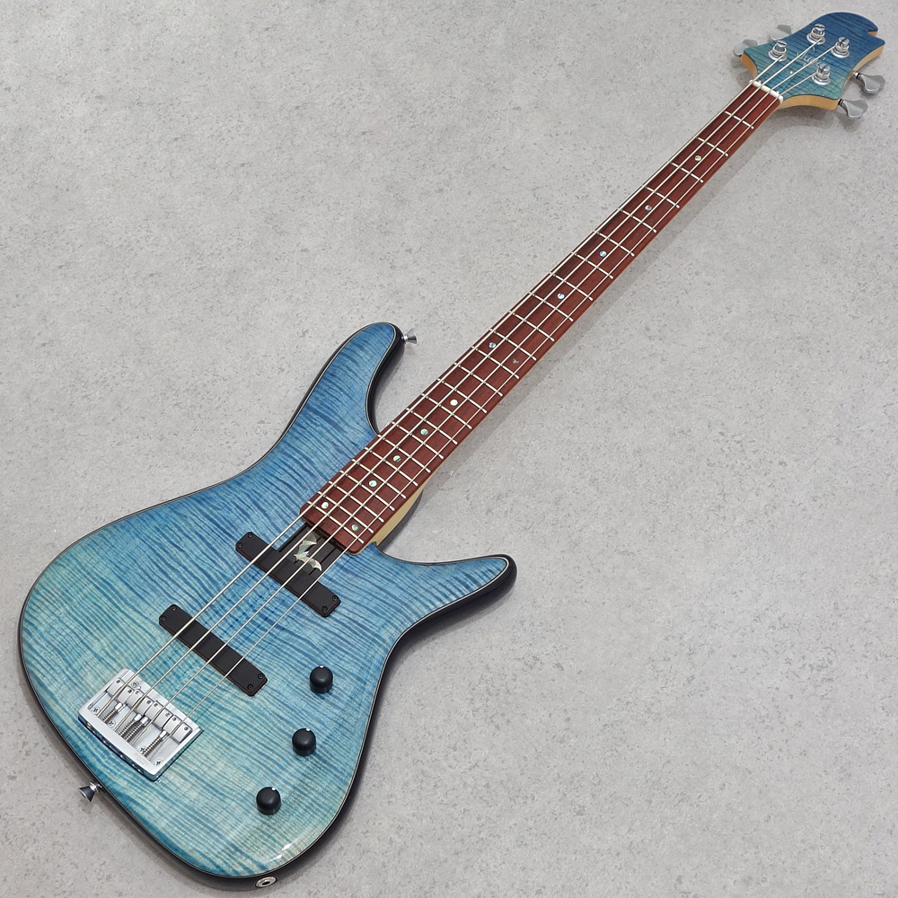 Sugi NB4C EM-EX/ASH 2P Purple Green Smoke｜ミュージックランドKEY