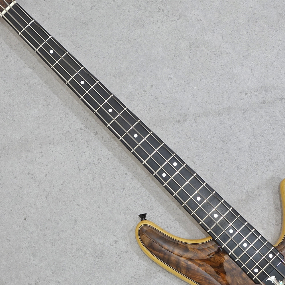 Sugi NB4E A 2HH CWN/ASH Natural｜ミュージックランドKEY