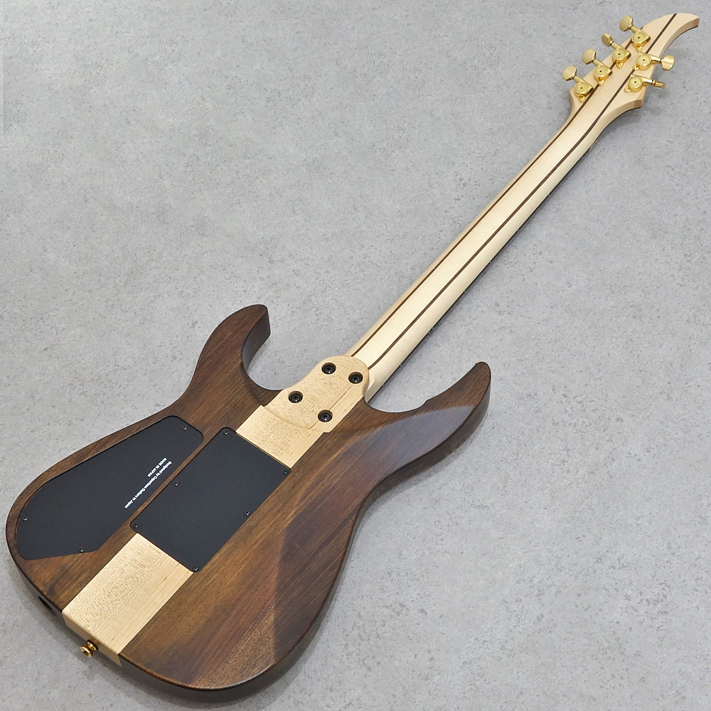 Caparison Dellinger-SH-BM-CL 2025 Black Amber Matt｜ミュージック