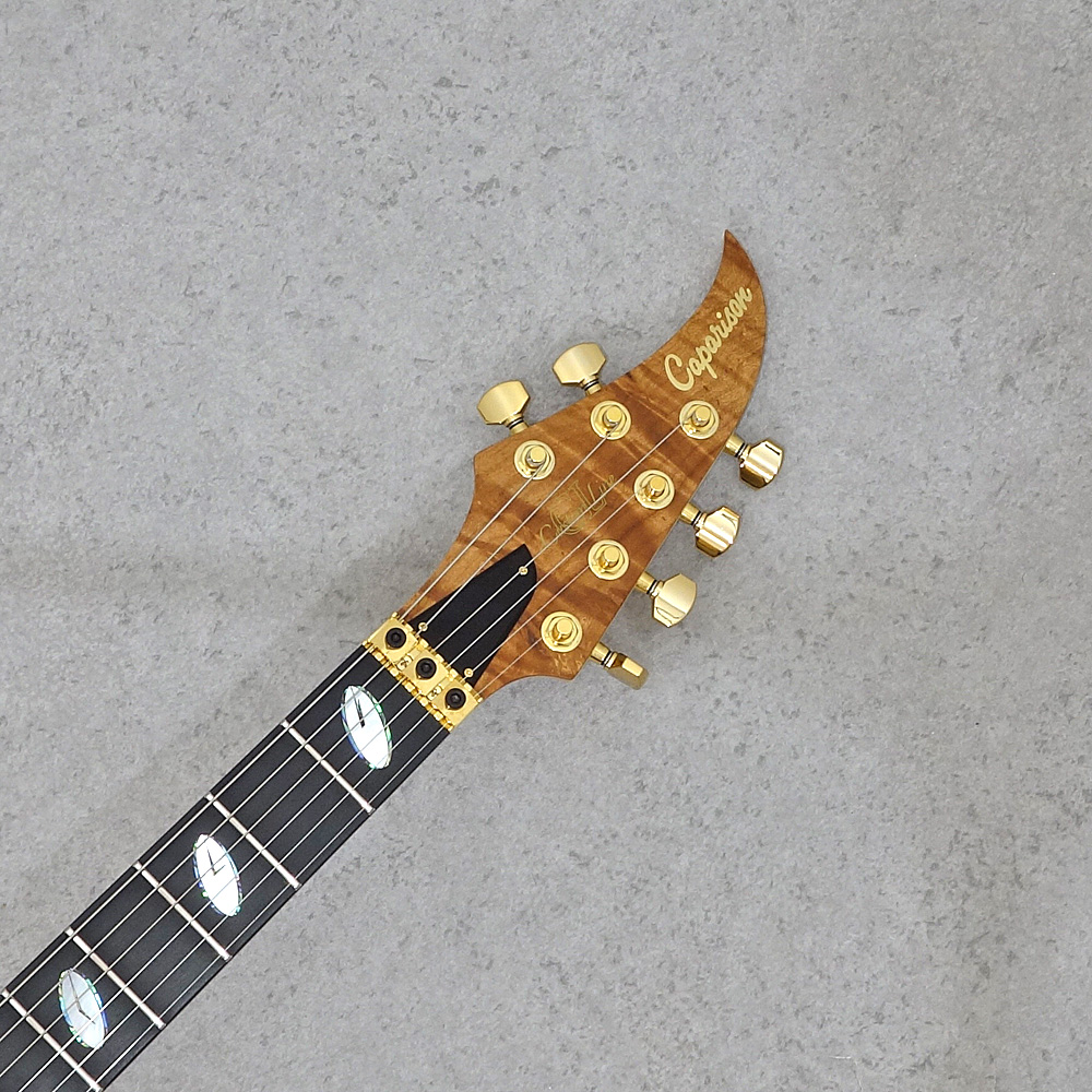 サ*メ様 Caparison Dellinger Custom Line Dellinger-SH-BM-CL - Caparison Guitars