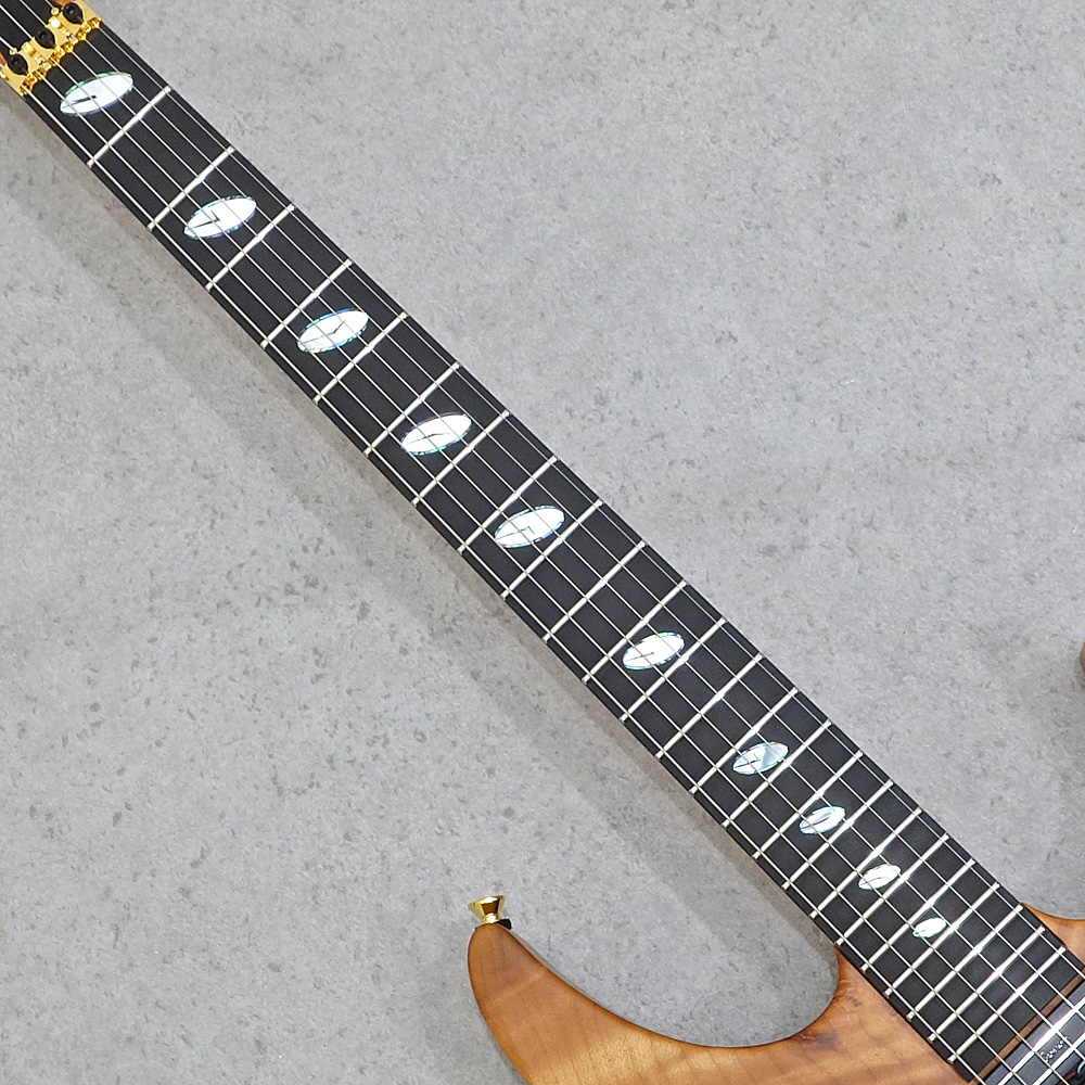 Caparison Dellinger-SH-BM-CL 2025 Amber Matt｜ミュージックランドKEY