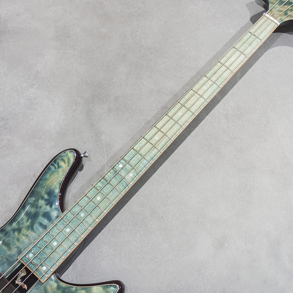 Sugi NB4M A 5AQM/ASH/Lake Green｜ミュージックランドKEY