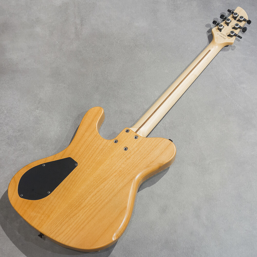 dragonfly BORDER 666 Custom Flame Maple/Alder/Ome Blue