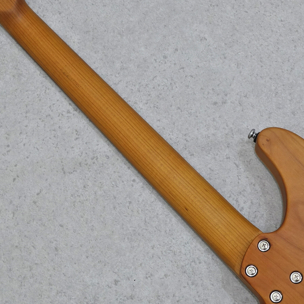 Gilmour Guitars SARK / Satin Transparent Green｜ミュージックランドKEY