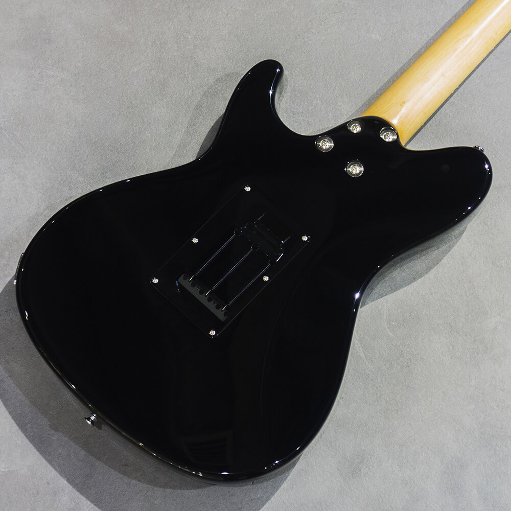 Sugi RMG IR SL-ALD2P/HM Tort BK｜ミュージックランドKEY