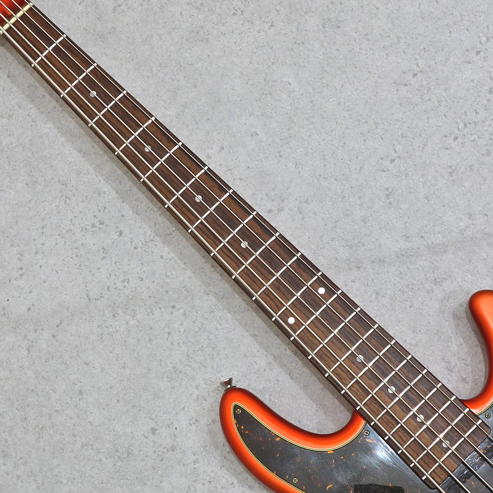 ギター tbf Guitar Gallery File.0011 / Kz One Semi-Hollow F-Hole Carved