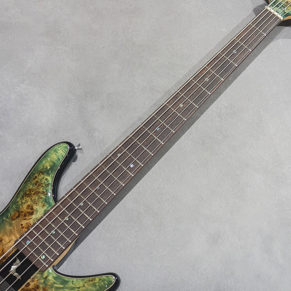 Sugi NB5IR POP/ALD/BGB｜ミュージックランドKEY