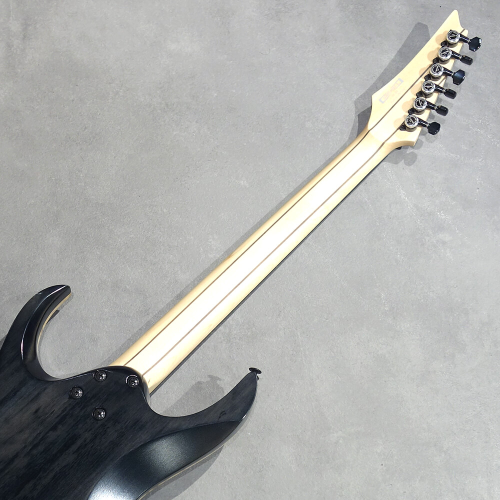 Ibanez RGA Premium RGA21P1PB-DRL (Deep Twilight Burst Low Gloss