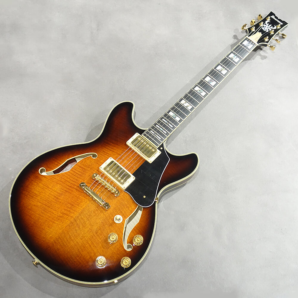 Ibanez SIGNATURE MODEL John Scofield JSM100-VT (Vintage Sunburst