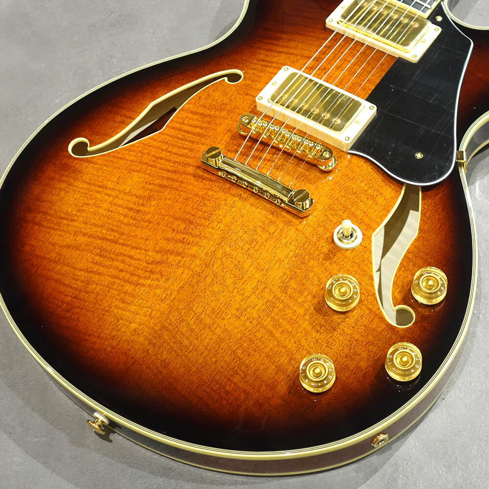 Ibanez SIGNATURE MODEL John Scofield JSM100-VT (Vintage Sunburst