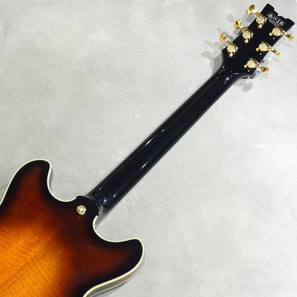 Ibanez SIGNATURE MODEL John Scofield JSM100-VT (Vintage Sunburst