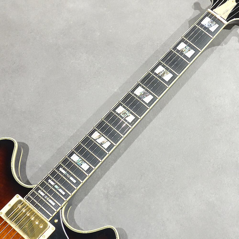 Ibanez SIGNATURE MODEL John Scofield JSM100-VT (Vintage Sunburst