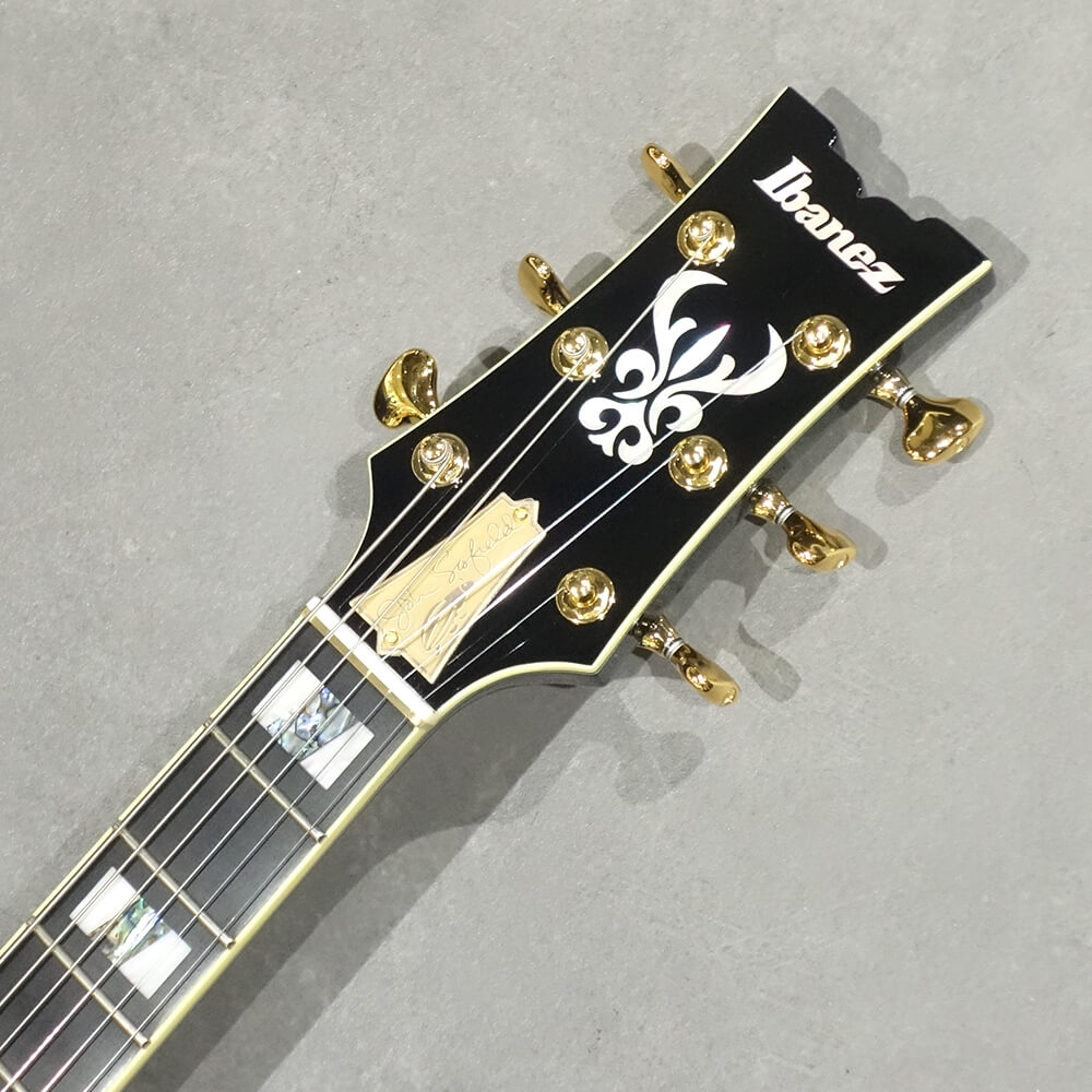 Ibanez SIGNATURE MODEL John Scofield JSM100-VT (Vintage Sunburst