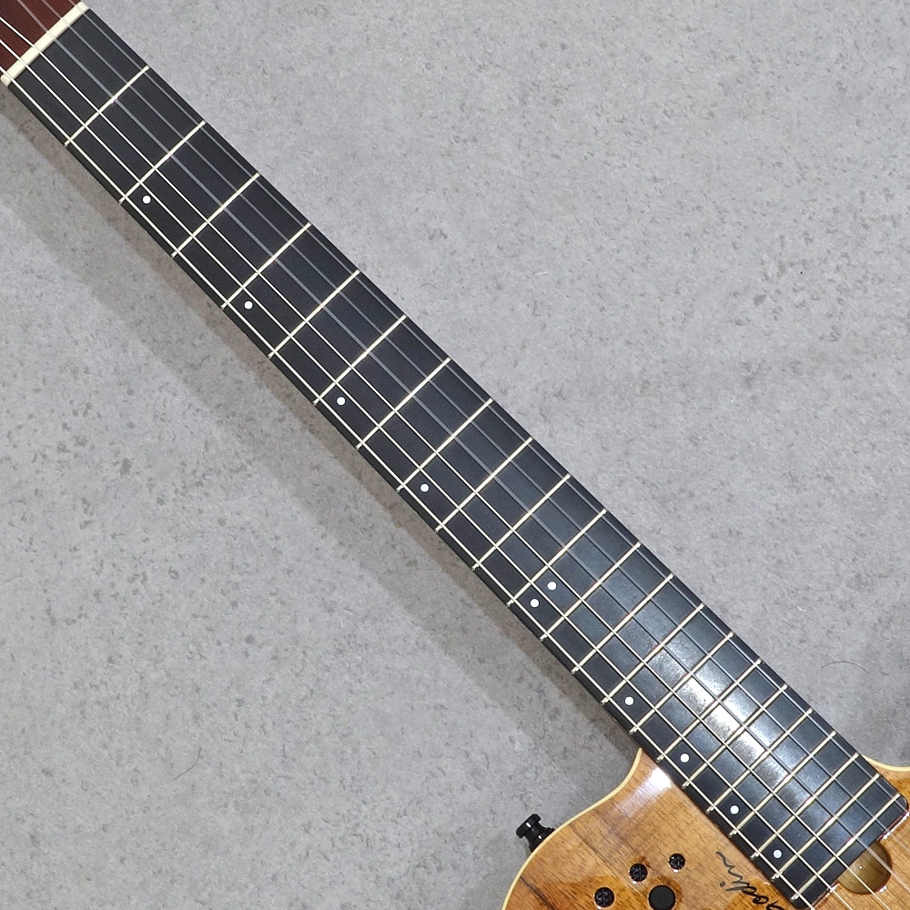 Godin ACS Nylon KOA Extreme HG｜ミュージックランドKEY