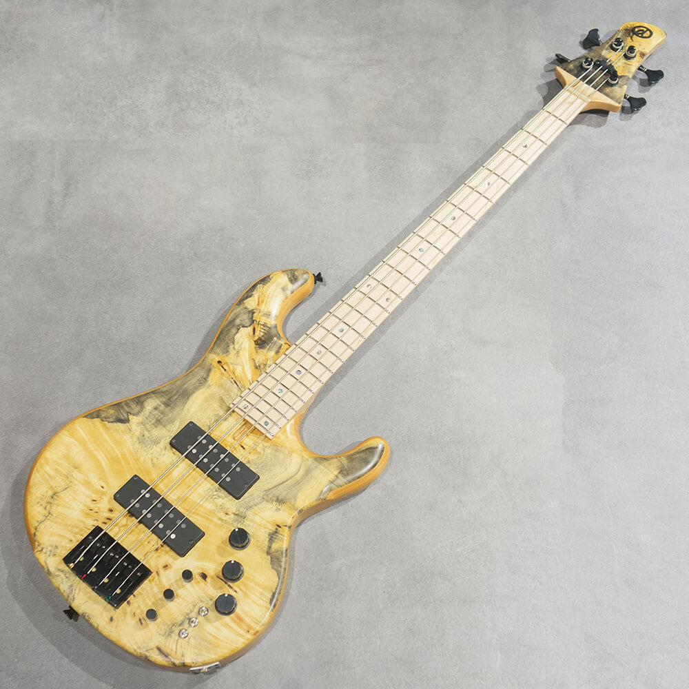 dragonfly CHB4 Custom Buckeye Burl/Alder Blue Resin｜ミュージック