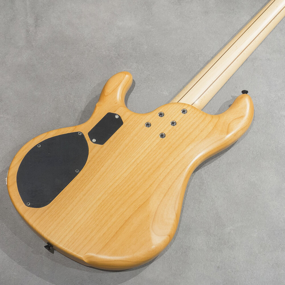 dragonfly CHB4 Custom Buckeye Burl/Alder Blue Resin｜ミュージック
