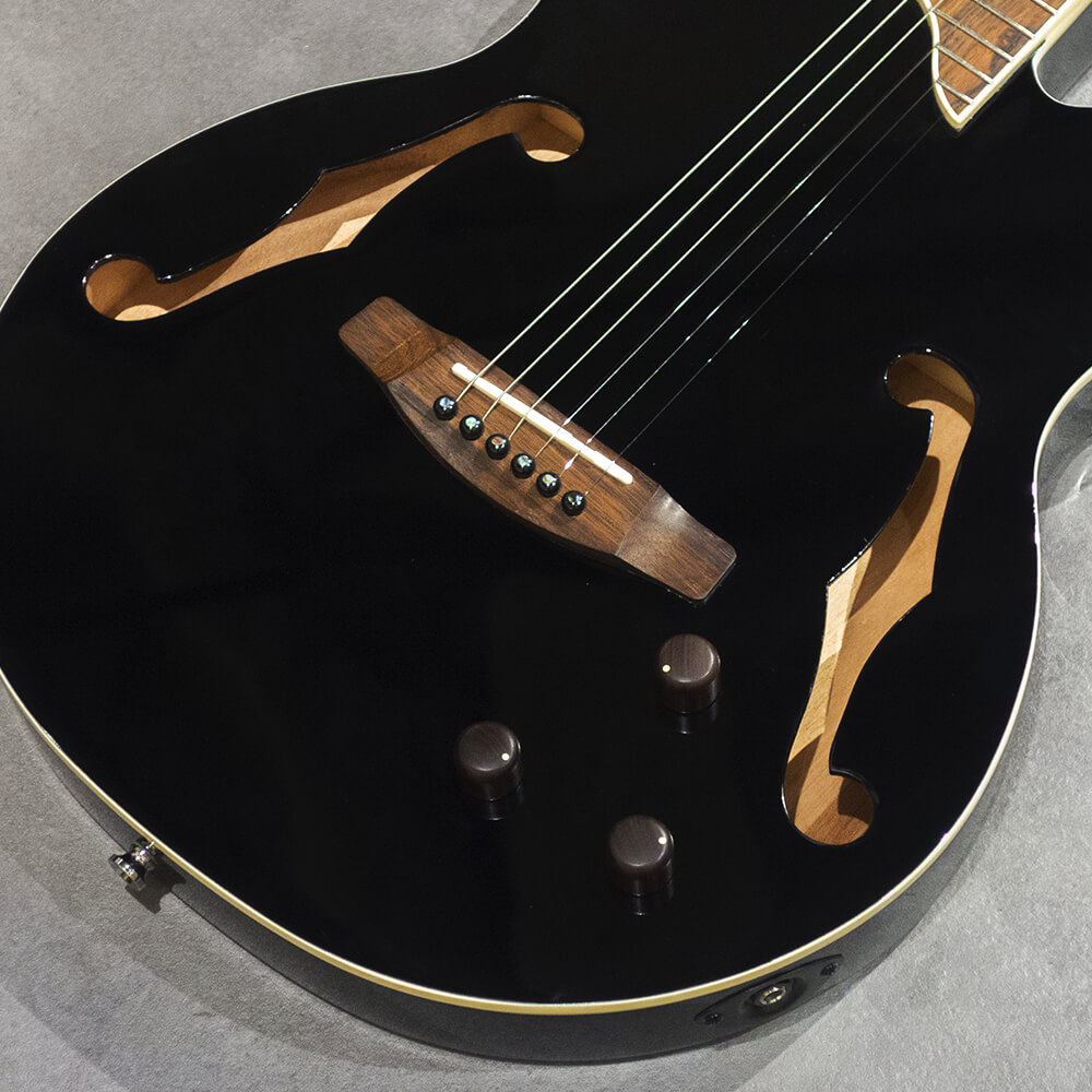 ELK Delsteel 6 Black｜ミュージックランドKEY