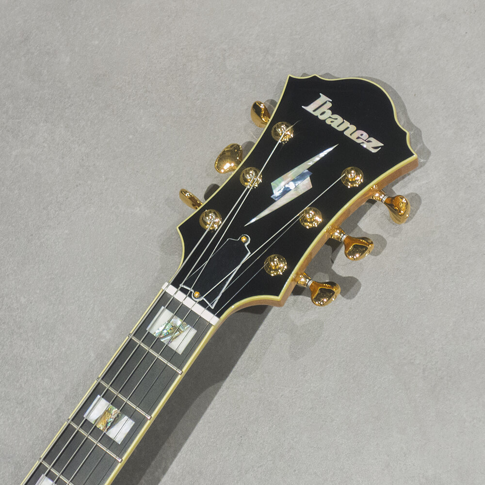 Ibanez PM200-NT (Natural) [Pat Metheny Signature Model
