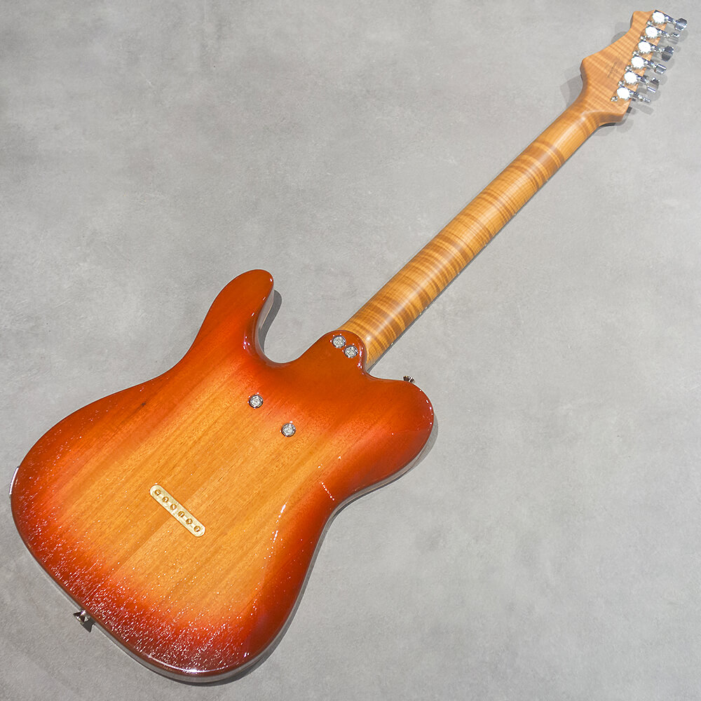 infinite Trad Fullsize T Hollow ST.Brown Burst｜ミュージックランドKEY