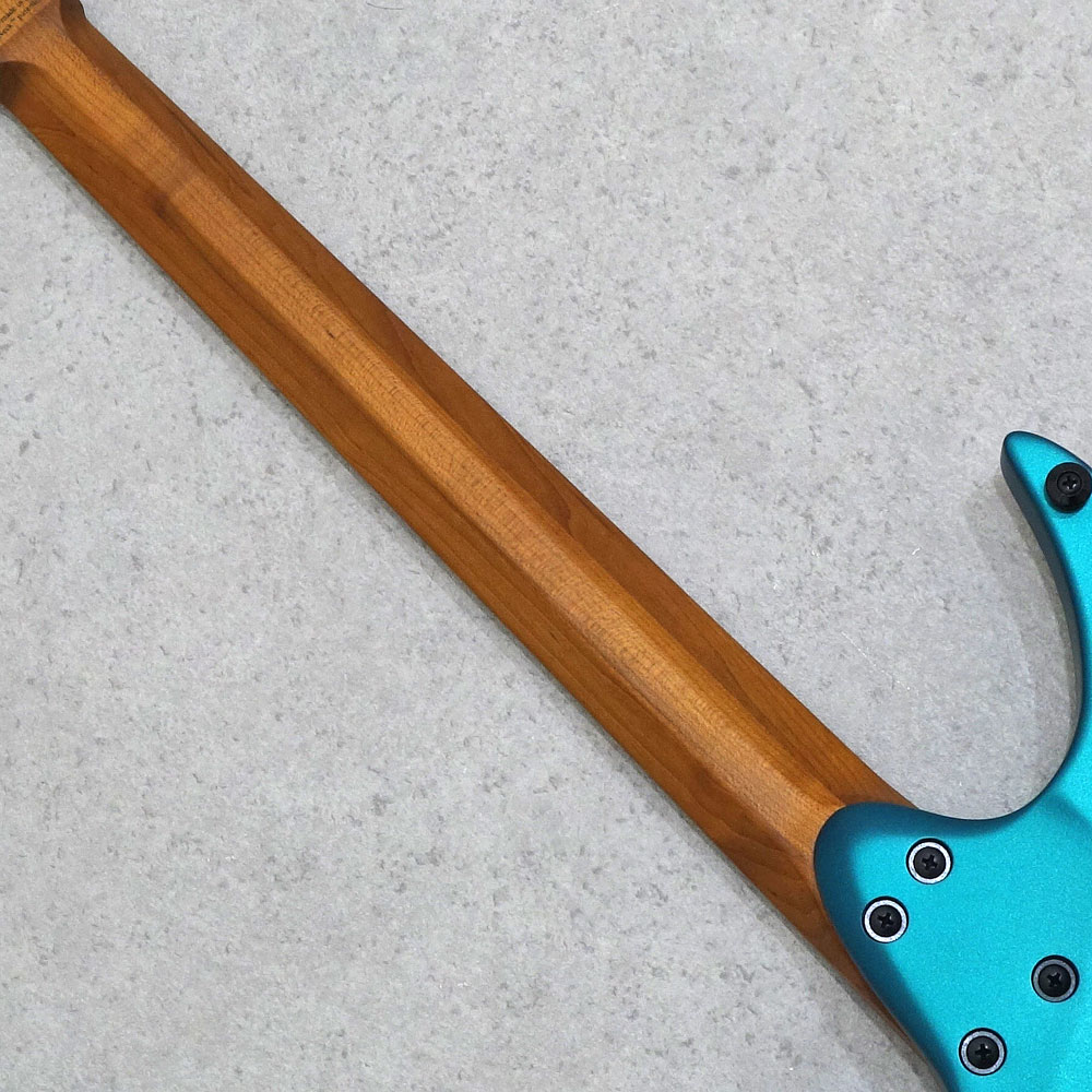 strandberg Boden Standard N2.6 Transformative Teal Metallic
