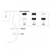 �J���[�o���G�[�V����