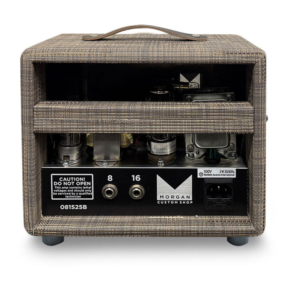 Morgan Amplification CUSTOM SHOP The FIVE HEAD DRIFTWOOD