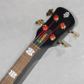 �J���[�o���G�[�V����