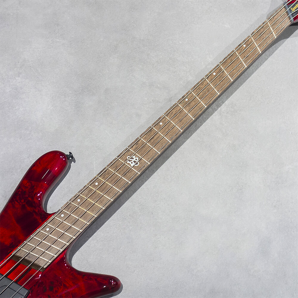 Spector NS DIMENSION MS 4 Gloss INFRD｜ミュージックランドKEY