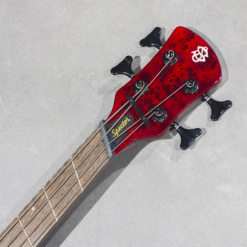 Spector NS DIMENSION MS 4 Gloss INFRD｜ミュージックランドKEY