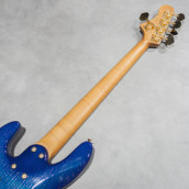 �J���[�o���G�[�V����