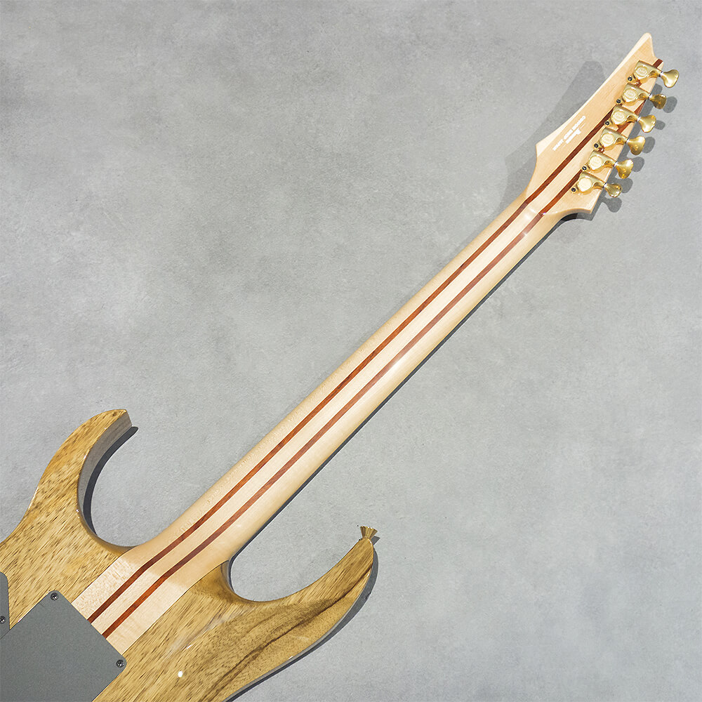 Ibanez RG VISIONS IV2RG｜ミュージックランドKEY