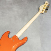 �J���[�o���G�[�V����