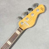 �J���[�o���G�[�V����