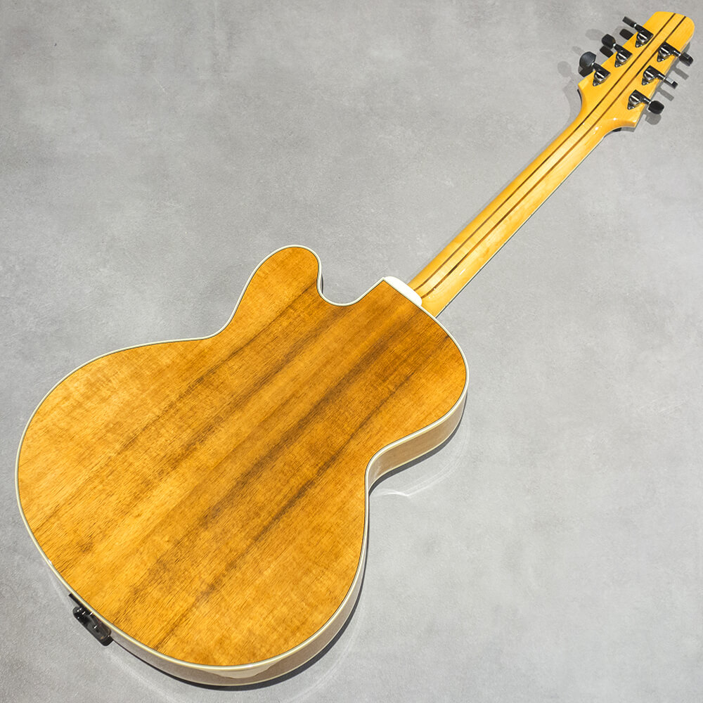 Kikuchi Guitars NY155 Blackwood｜ミュージックランドKEY