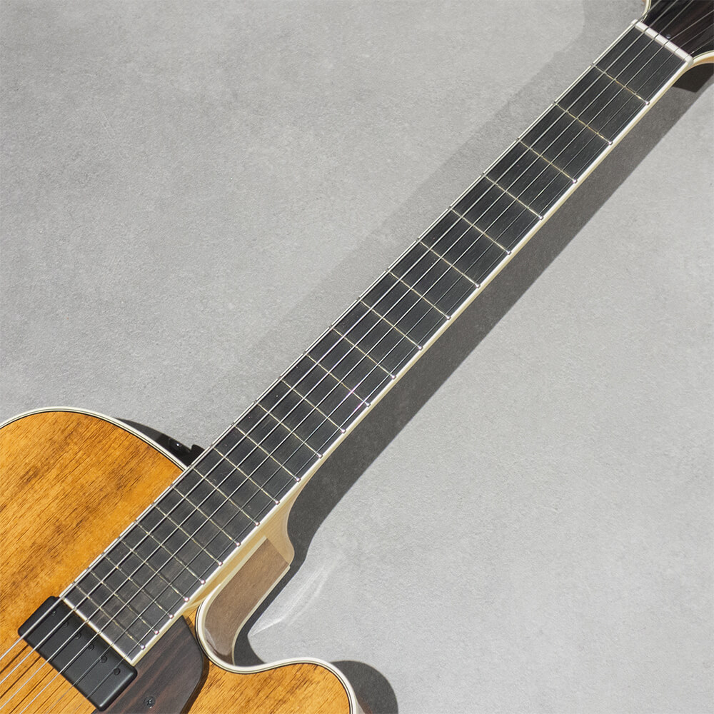 Kikuchi Guitars NY155 Blackwood｜ミュージックランドKEY