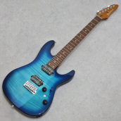 �J���[�o���G�[�V����