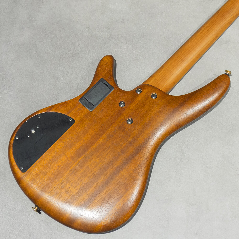 Ibanez SR Prestige SR5500-MHF (Mocha Flat)｜ミュージックランドKEY