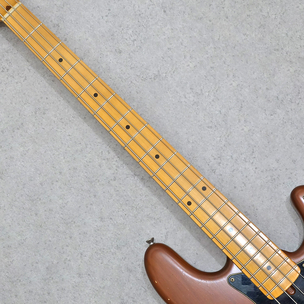 Provision VPB-RELIC See-Through Walnut｜ミュージックランドKEY