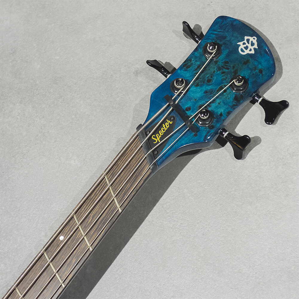 Spector NS DIMENSION MS 4 Gloss BKBL｜ミュージックランドKEY