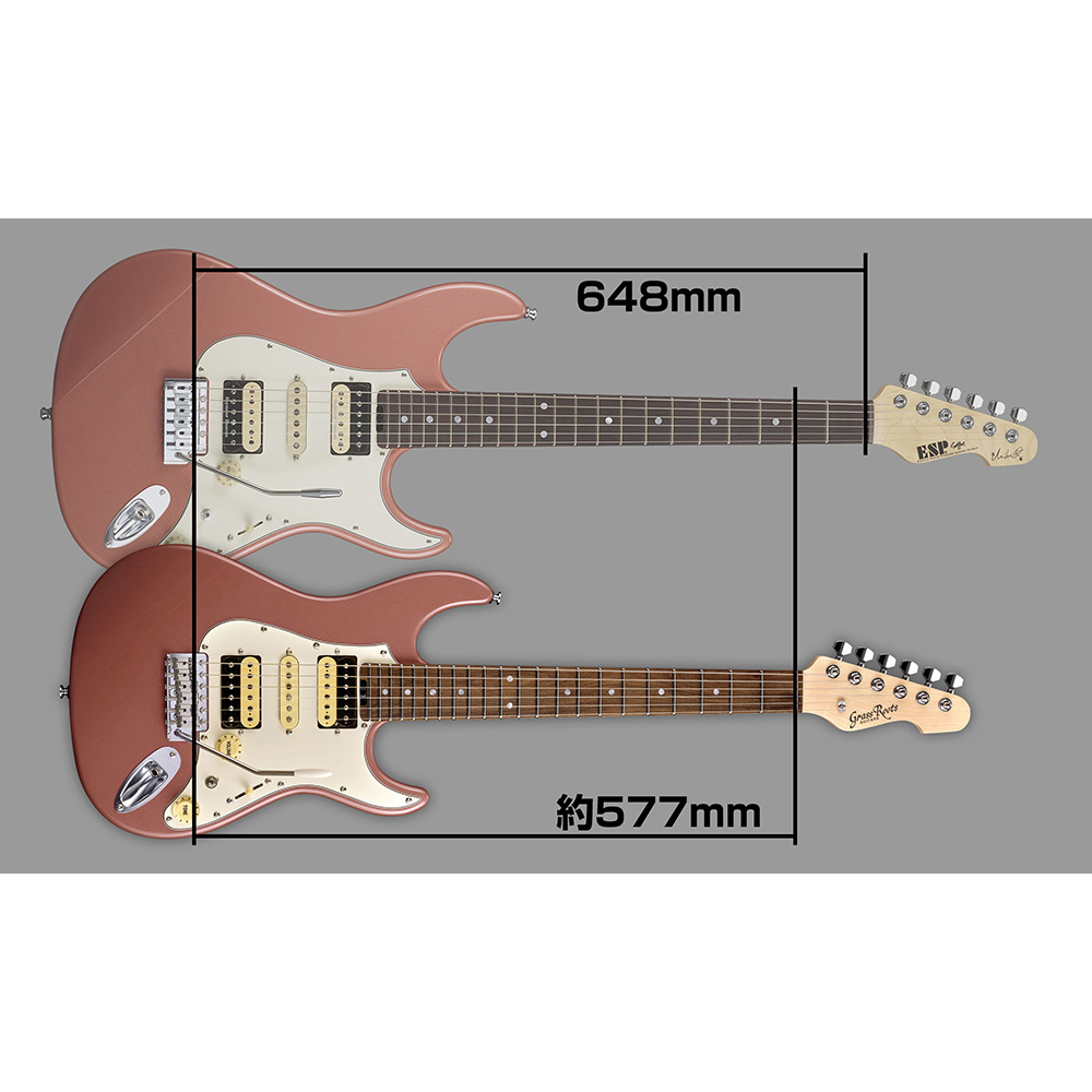 GrassRoots G-SN-62MF [藤岡幹大 Signature Model]｜ミュージックランドKEY