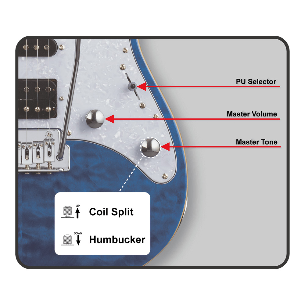 GrassRoots G-SNAPPER-CTM STB (See Thru Blue)｜ミュージックランドKEY